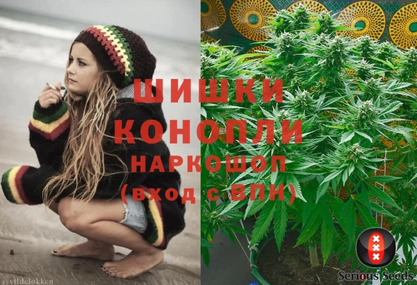 индика Чита