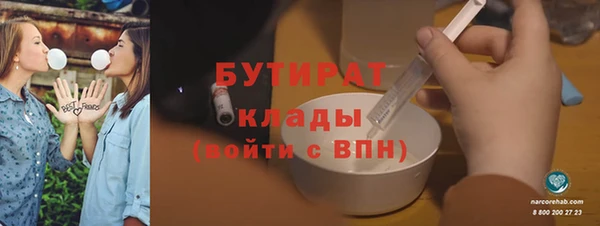 индика Чита