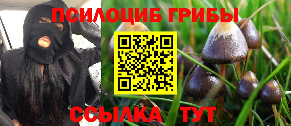 Псилоцибиновые грибы Cubensis Нарткала